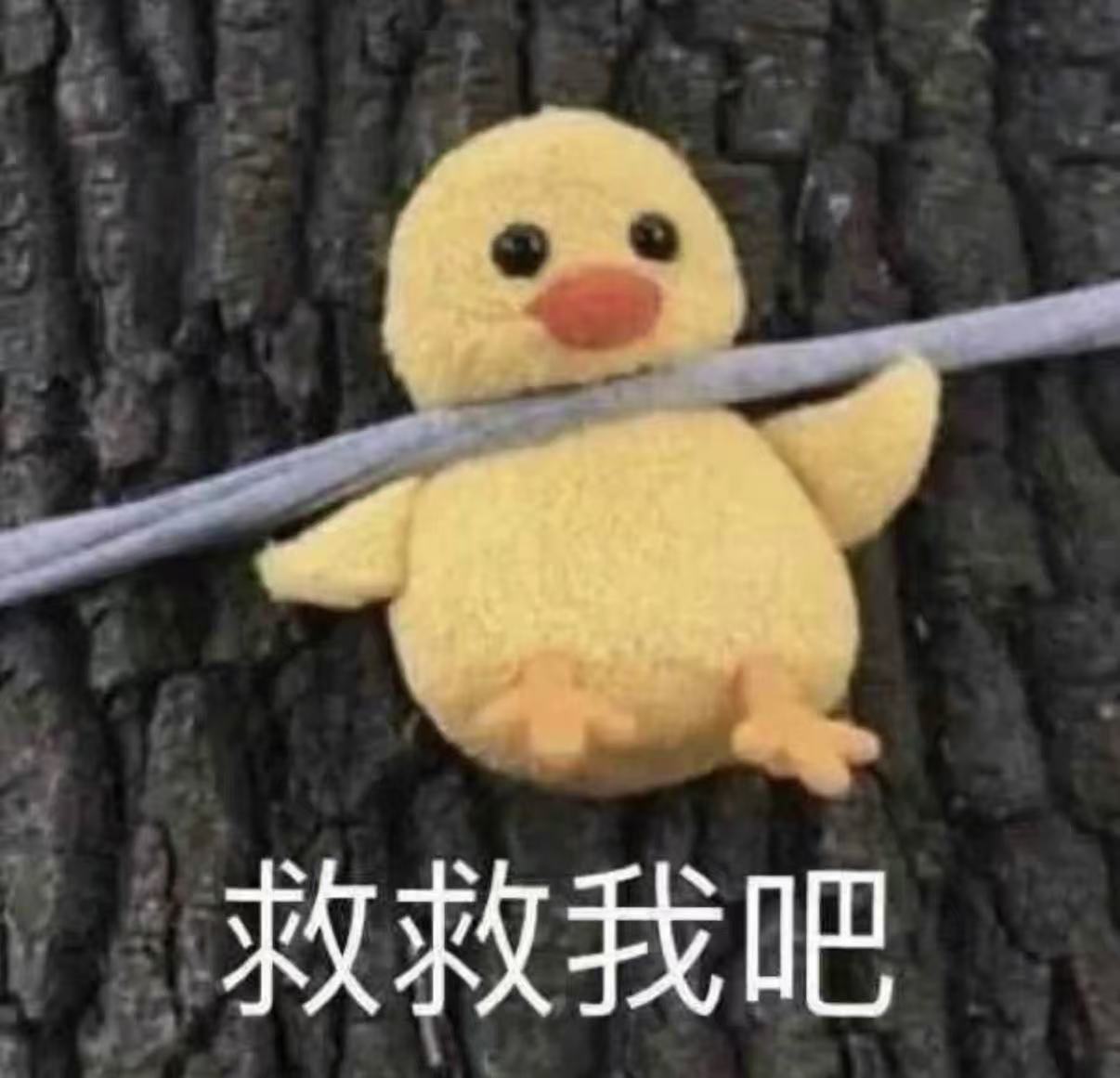 求助！！！！-寰智汇